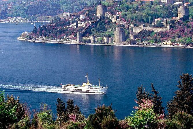 Afternoon Bosphorus Cruise Along the Shore - Traveler Experience and Dining Options