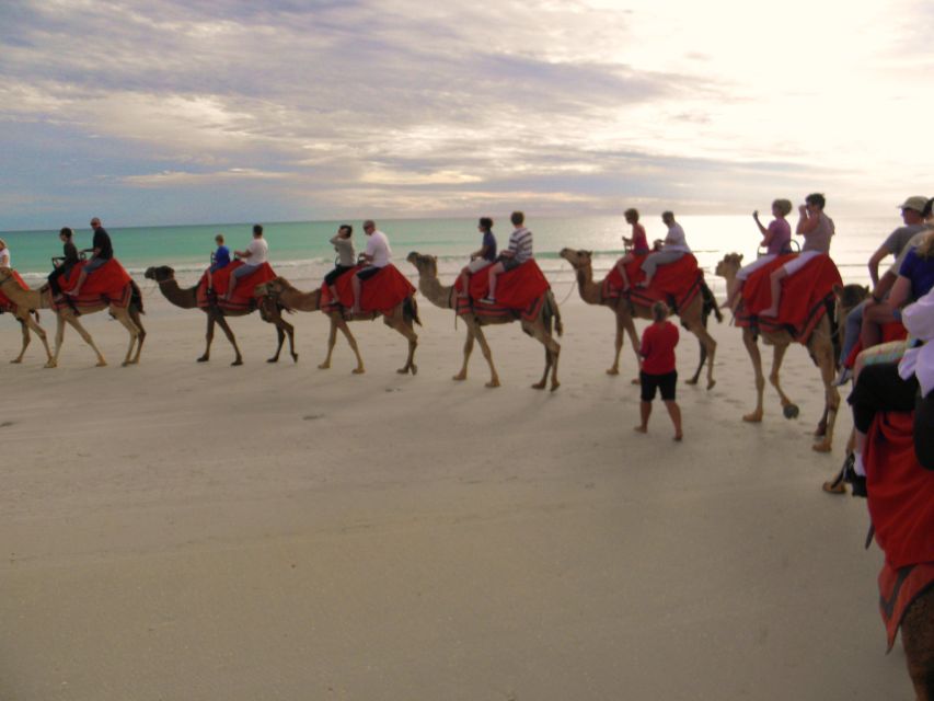 Agadir: Camel Ride With Tea in Falamingos River - Last Words