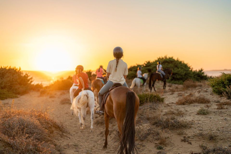 Agadir: Forest and Sand Dunes Guided Horse Riding Tour - Visitor Testimonials