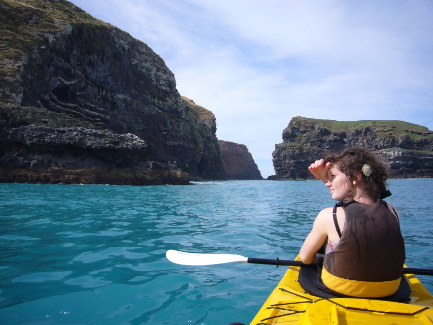 Akaroa: 4WD Safari and Guided Sea-Kayaking Experience - Common questions