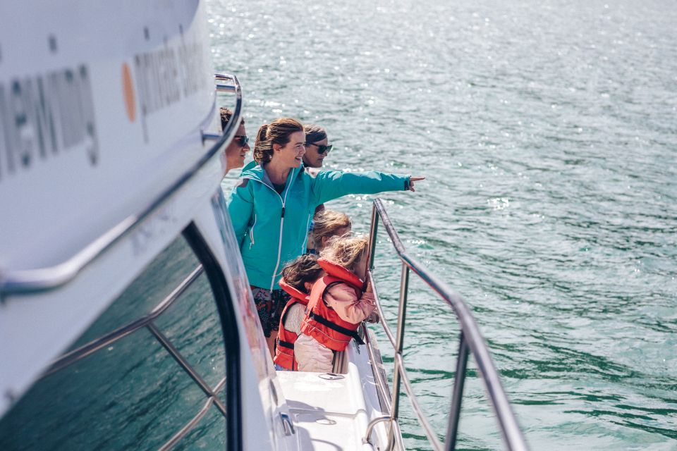 Akaroa: Dolphin Nature Cruise - Tips for a Memorable Cruise