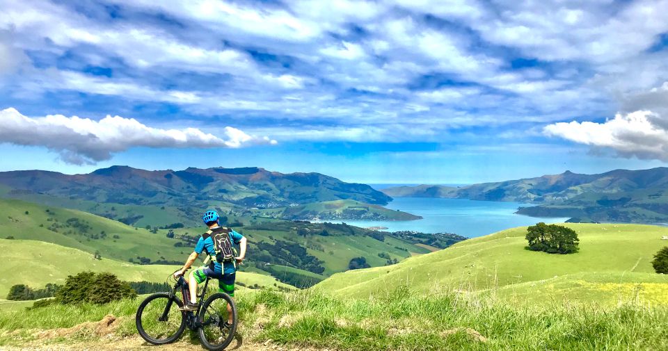 Akaroa: Guided Electric Mountain Bike Tour - Common questions