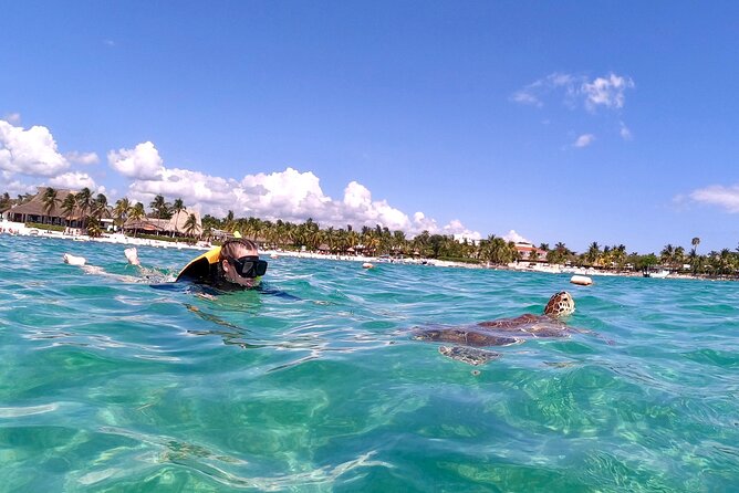 Akumal; Snorkeling and Photos With Turtles - Refund and Cancellation Procedure
