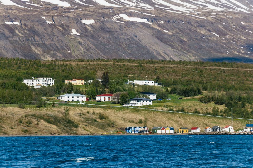 Akureyri: 3-Hour Classic Whale Watching Tour - Last Words