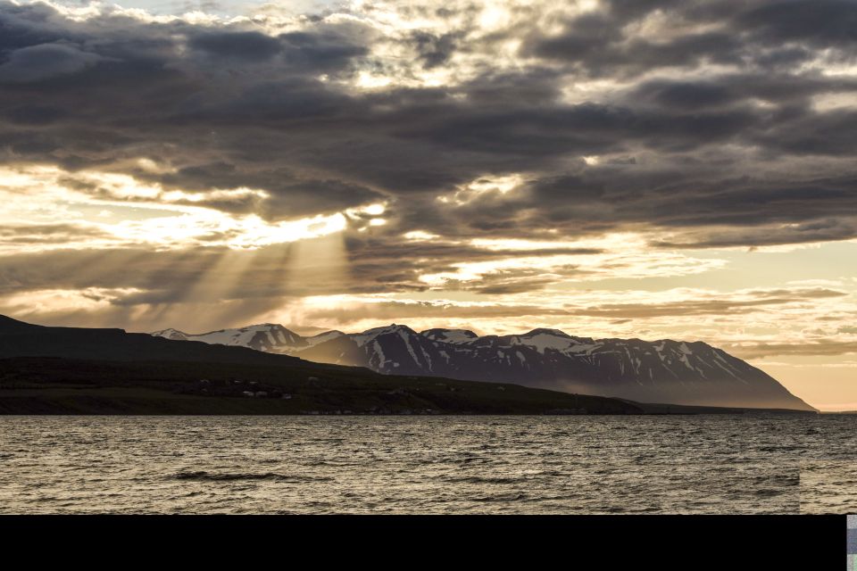 Akureyri: Whale Watching in the Midnight Sun - Last Words