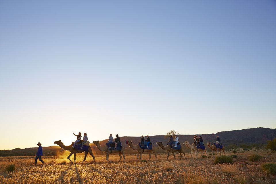 Alice Springs: Guided Outback Camel Ride - Last Words