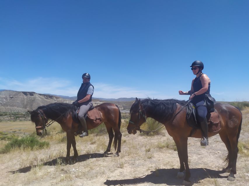 Almeria: Tabernas Desert Horse Riding for Experienced Riders - Last Words