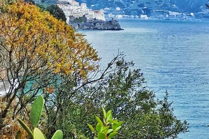 Amalfi Coast Tour From Sorrento: Private Day Trip With Local Driver - Common questions