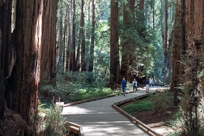 Amazing Muir Woods and Sausalito Tour - Last Words