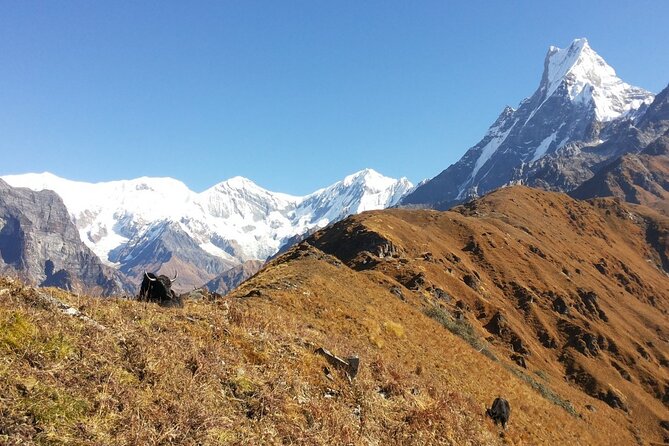 Annapurna Circuit Trek - Safety Tips