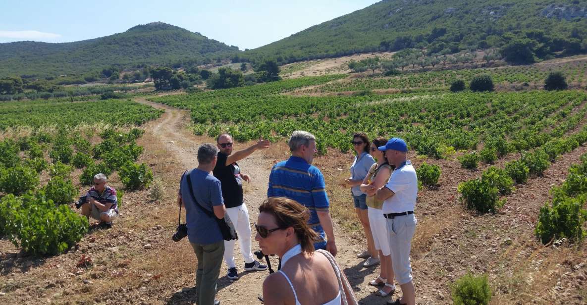 Athens: Private Wine Tour and Lunch at the Seaside - Background