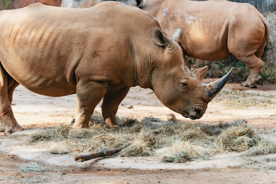 Atlanta: Zoo Atlanta General Admission Ticket - Directions