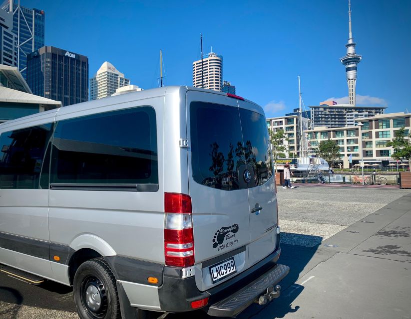 Auckland: City Sightseeing and Explore Piha Beach - Additional Tour Information and Insights