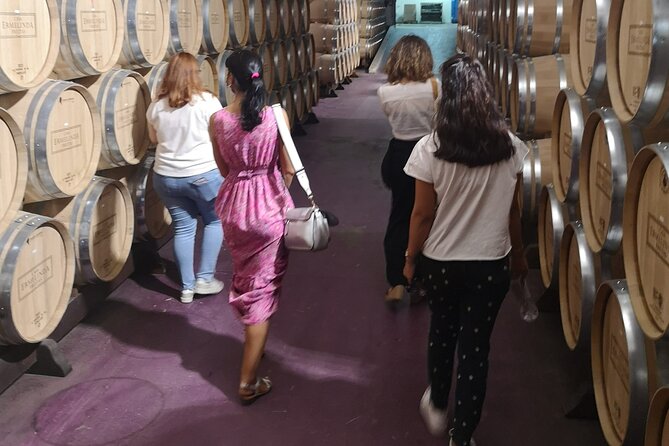 Azeitao Lisbon Wine Experience With Two Wine Estate Visits - Traveler Reviews and Ratings