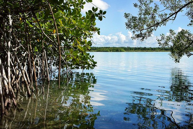 Bacalar Seven Color Lagoon and Kayak Adventure From Costa Maya - Common questions