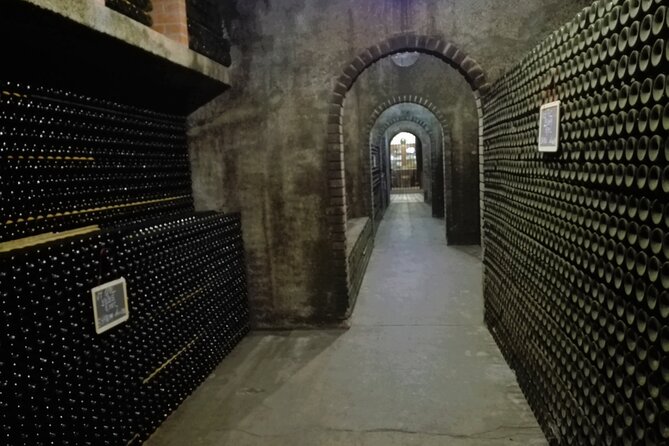 Bairrada Winery Route Experience, Full-Day From Coimbra - Last Words