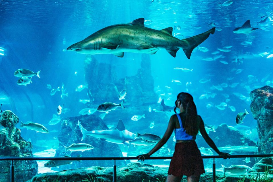 Barcelona Aquarium: Skip-the-Line Admission Ticket - Last Words