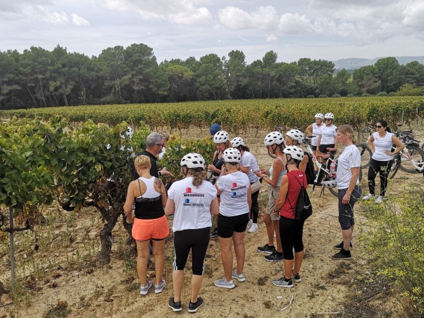 Barcelona: Bike & Wine Guided Tour - Penedès Vineyards - Highlights