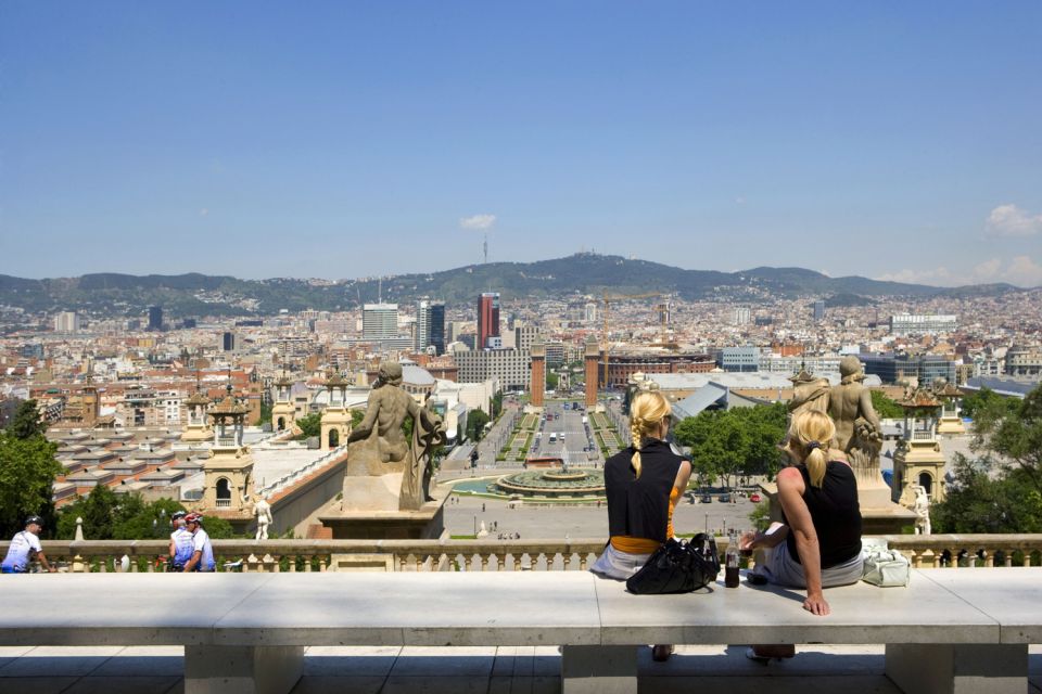 Barcelona: Museu Nacional D'art De Catalunya Entrance Ticket - Skip the Line Benefits