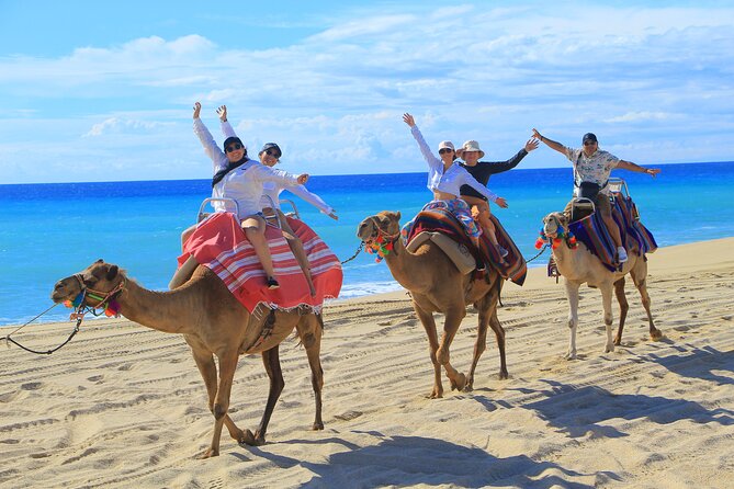 Beach UTV & Camel Ride COMBO in Cabo by Cactus Tours Park - Additional Information