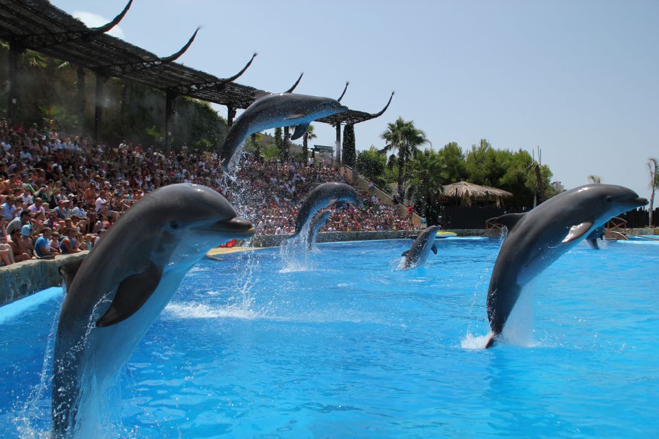 Benidorm: Mundomar Animal Park 1-Day Ticket - Last Words