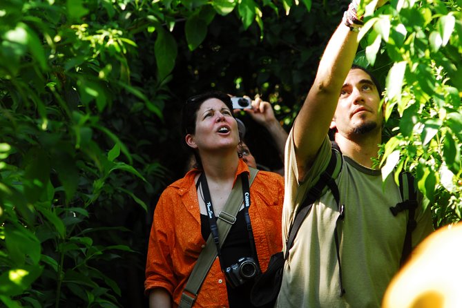 Birdwatching in Sian Kaan and Muyil Archaeological Site From Tulum - Last Words