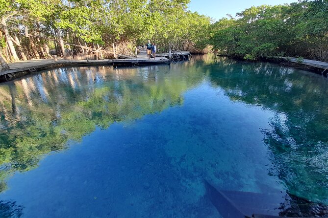 Boat Tour of Three Islands in Holbox With Transportation - Last Words