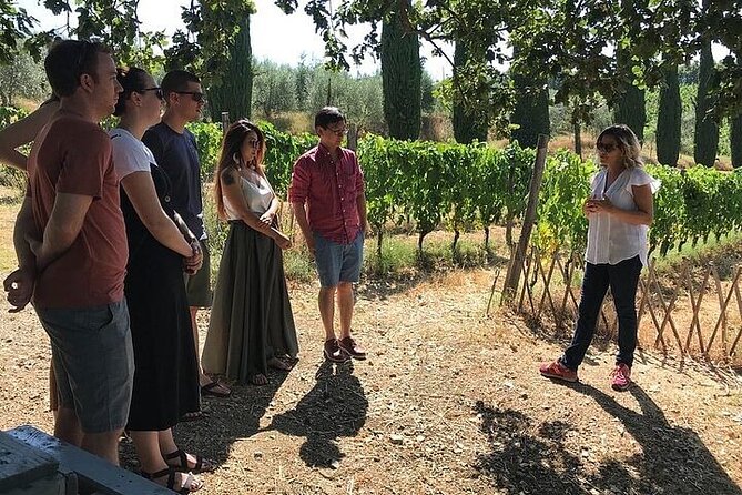 Bolgheri Small Group Tour, Lunch and Wine Tasting From Florence - Additional Resources