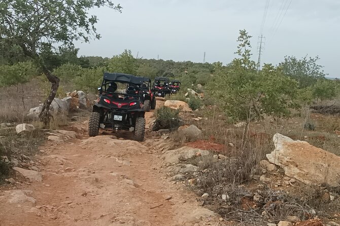 Buggy Adventure - 2 Hours Off-Road Guided Tour From Albufeira - Last Words