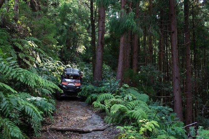 Buggy – Off-road Excursion- Coast to Coast – Half Day (Shared) - Last Words