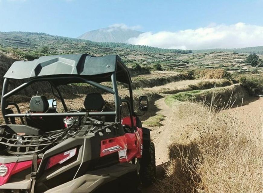 Buggy Tour Volcano Teide By Day in Teide National Park - Customer Reviews