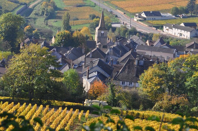 Burgundy: 2-Day Vineyard Visits and Wine Tasting Tour  - Dijon - Vineyard Visits and Wine Tastings