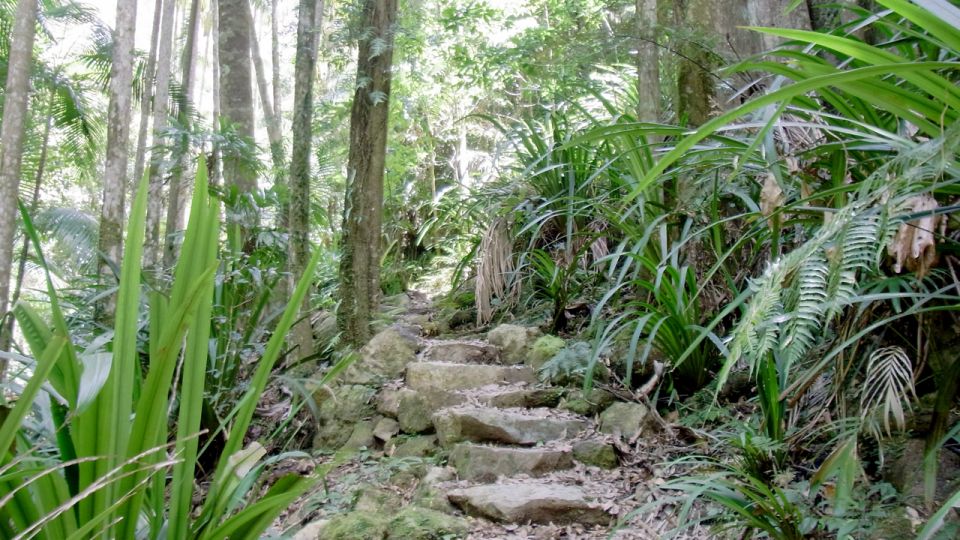 Byron Bay Hinterland: National Park and Waterfalls Tour - Last Words