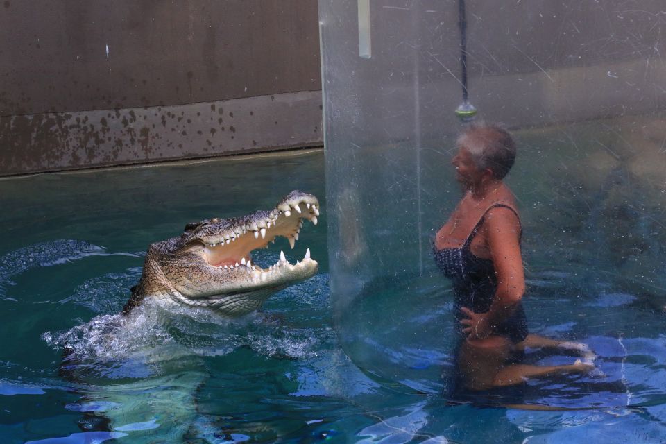 Cage Of Death Crocodile Swim and Entry to Crocosaurus Cove - Last Words