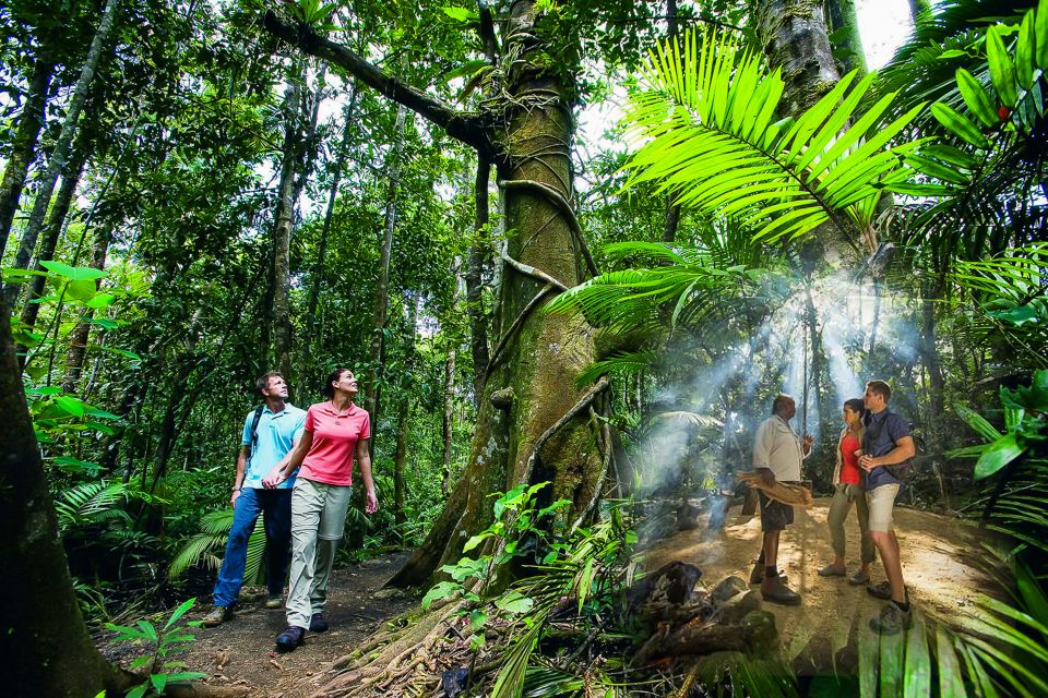 Cairns: Daintree and Mossman Gorge Tour With Cruise Option - Customer Reviews and Testimonials