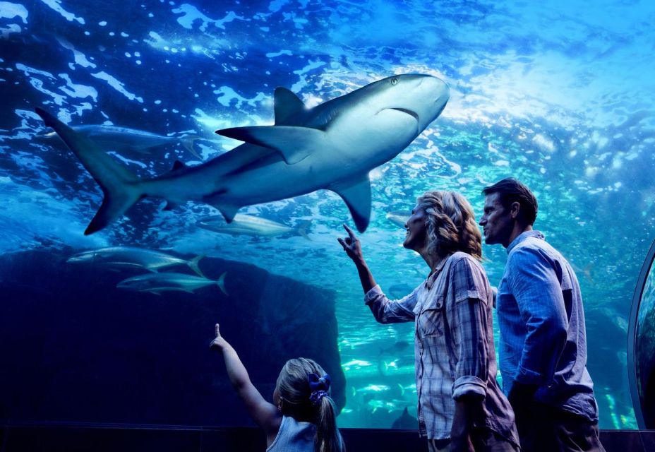 Cairns: Night at the Aquarium Guided Tour & 2 Course Dinner - Last Words