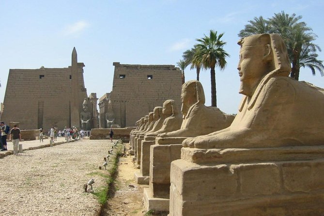 Cairo, Luxor, Aswan: 7-Day Private Semi-Inclusive Package  - Giza - Last Words