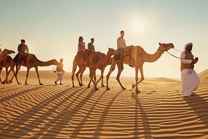Camel Trekking in Abu Dhabi With Shared Transfer, Fun and More - Common questions