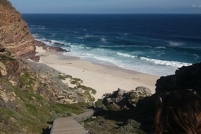 Cape of Good Hope Penguins From Cape Town Private Price/Group Up To 12Pax F/D - Last Words