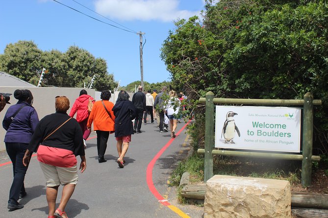 Cape of Good Hope, Penguins Private Tour From Cape Town Full Day - Contact and Terms & Conditions
