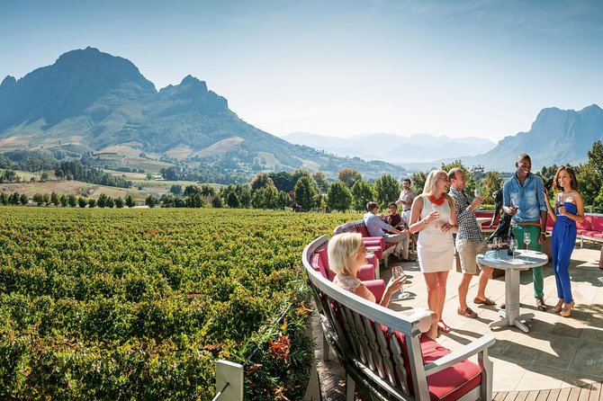 Cape Winelands Private Tour to Stellenbosch and Franschhoek - Traveler Photos