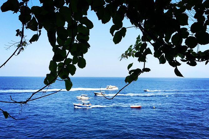 Capri Island With a Local Expert Guide - Contact Information and Resources