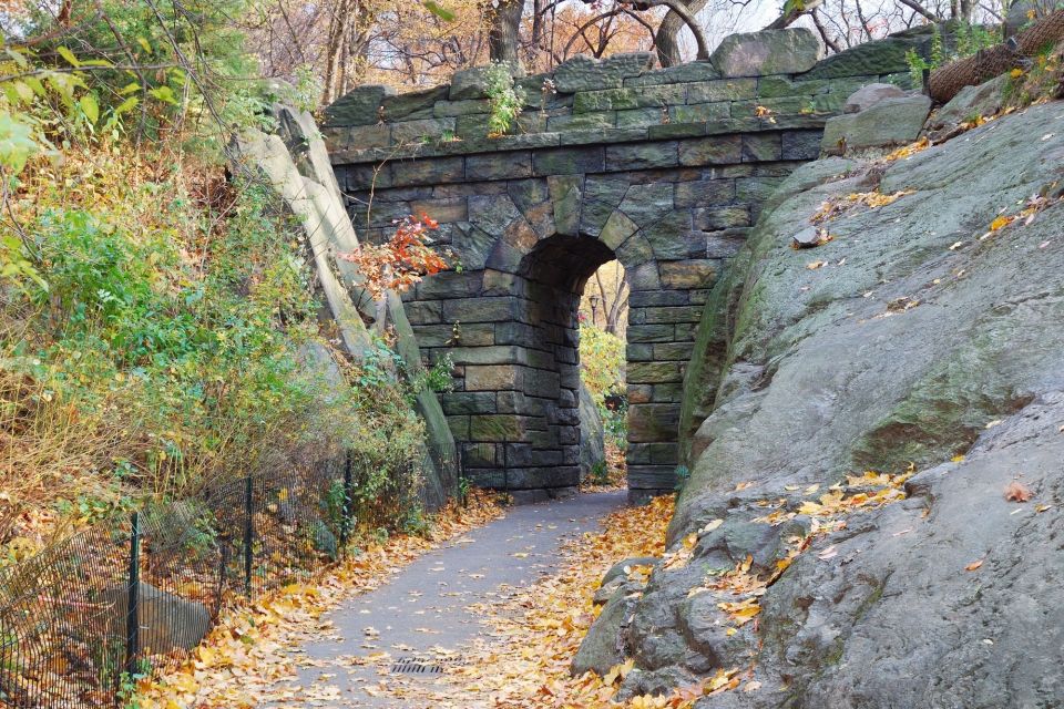 Central Park NYC: First Discovery Walk and Reading Tour - Important Information