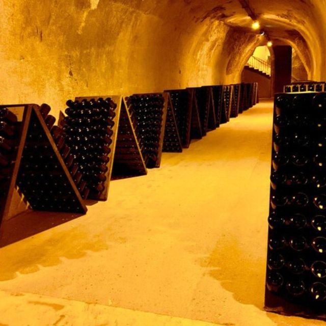 Champagne Region From Paris: Reims and Champagne Tasting - Last Words