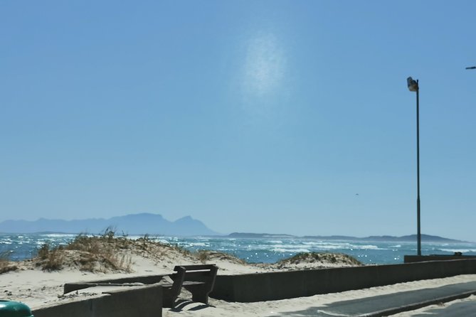 Cheetah Outreach Tour Somerset West, Gordons Bay and Strand Beaches - Last Words