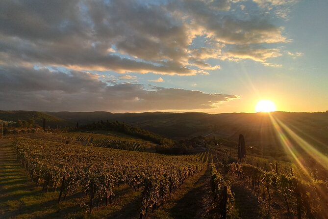 Chianti From Florence:Private Wine, Olive Oil Tasting in the Tuscan Countryside - Additional Tour Information