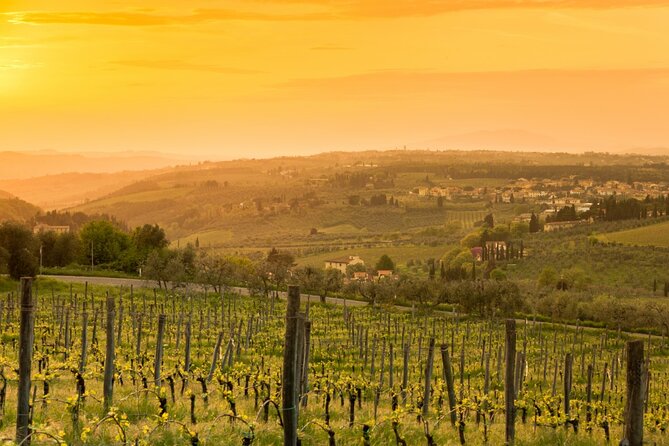 Chianti Wine Tour From Florence to San Gimignano With 2 Wineries - Common questions
