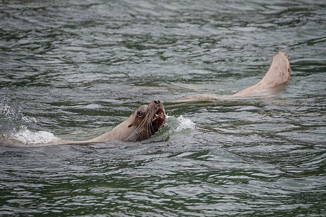 Chilkoot Wilderness and Wildlife Viewing - 6.5 Hrs From Skagway - Common questions