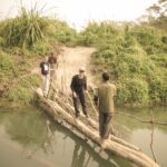 7 chitwan jungle safari tours Chitwan Jungle Safari Tours