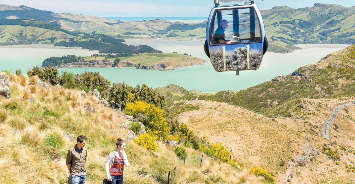 Christchurch Gondola and Tram City Tour Combo - Last Words